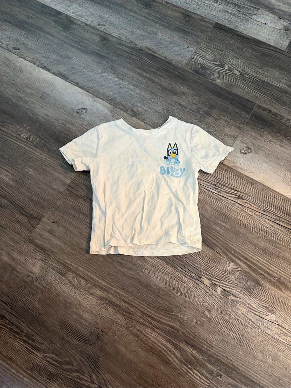 Bluey Kids White Short-Sleeve Tee